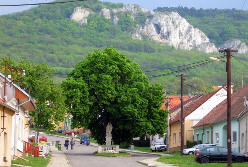 Penzion Bouquet Horni Vestonice Exterior foto