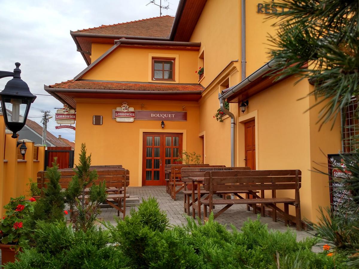 Penzion Bouquet Horni Vestonice Exterior foto