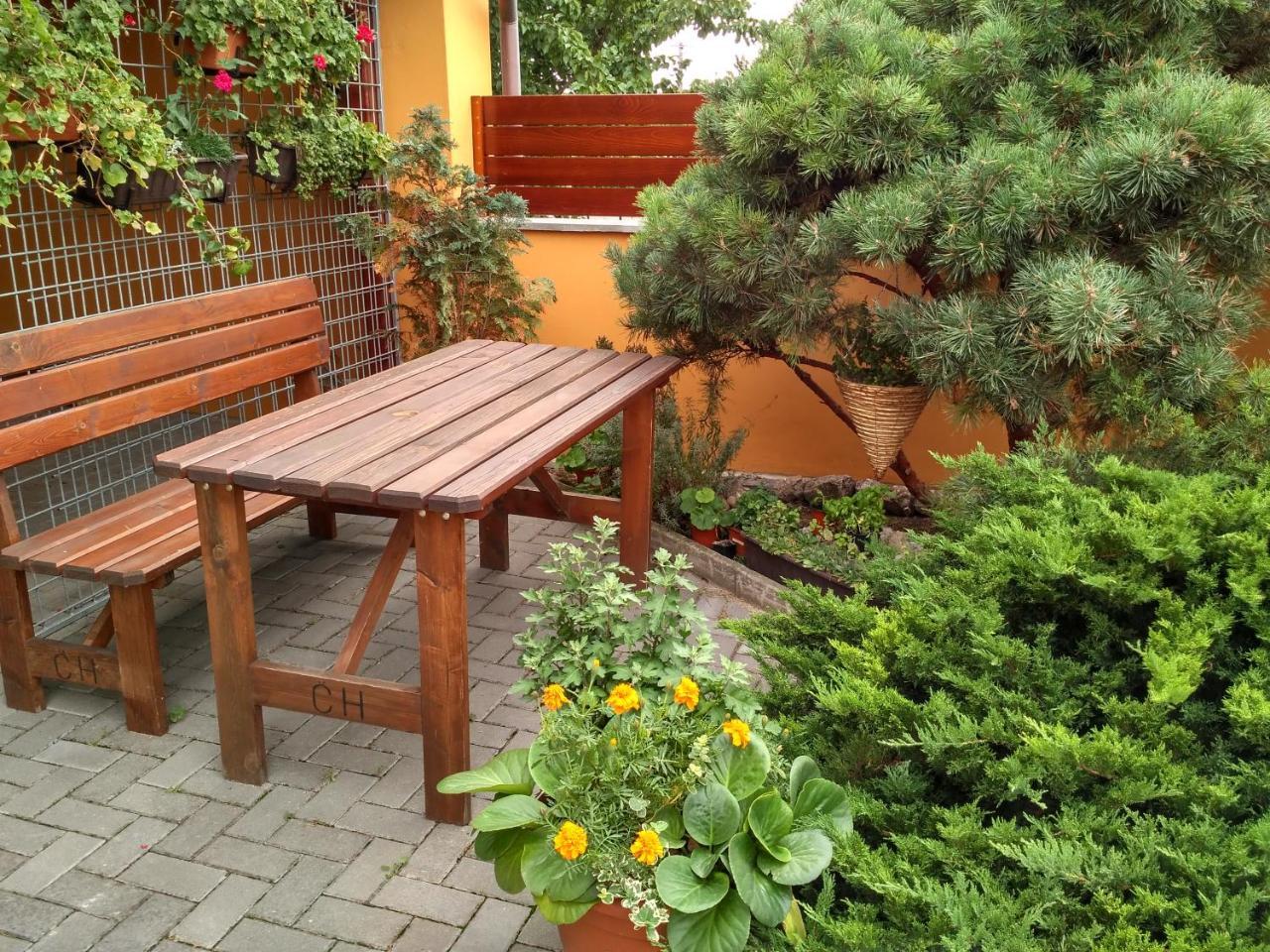 Penzion Bouquet Horni Vestonice Exterior foto